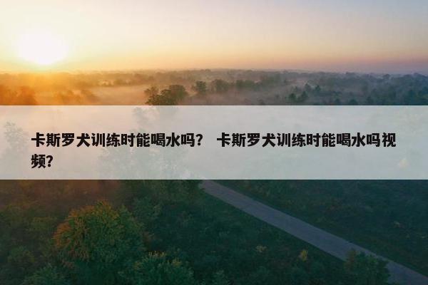 卡斯罗犬训练时能喝水吗? 卡斯罗犬训练时能喝水吗视频?