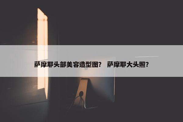 萨摩耶头部美容造型图？ 萨摩耶大头照？
