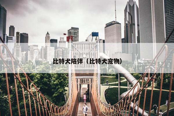 比特犬陪伴（比特犬宠物）