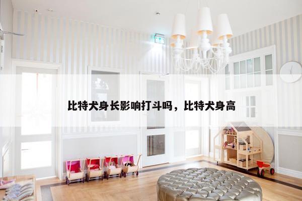 比特犬身长影响打斗吗，比特犬身高