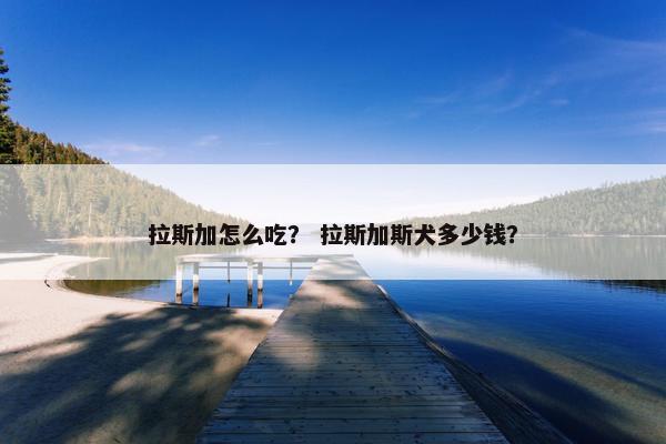 拉斯加怎么吃？ 拉斯加斯犬多少钱？