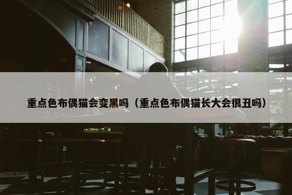 重点色布偶猫会变黑吗(重点色布偶猫长大会很丑吗)