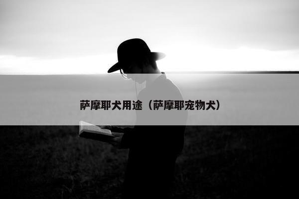 萨摩耶犬用途(萨摩耶宠物犬)