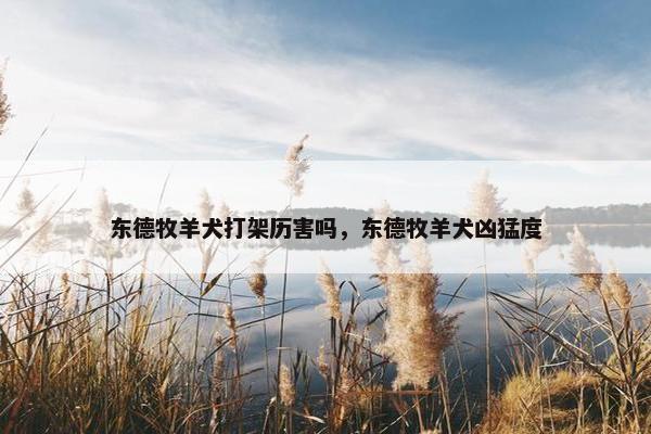 东德牧羊犬打架历害吗，东德牧羊犬凶猛度
