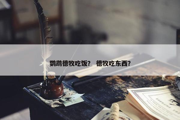 鹦鹉德牧吃饭？ 德牧吃东西？