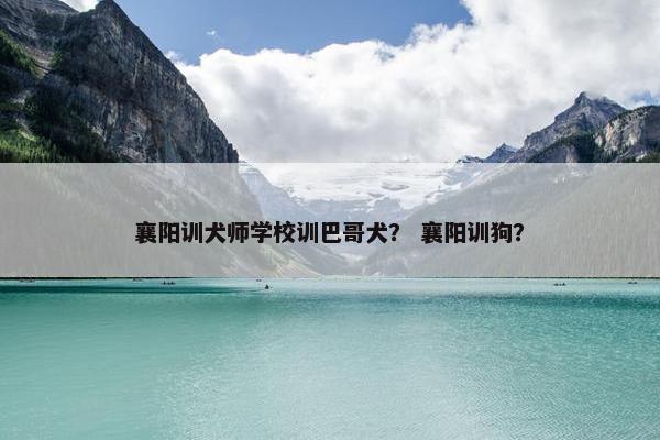 巴哥 第5页