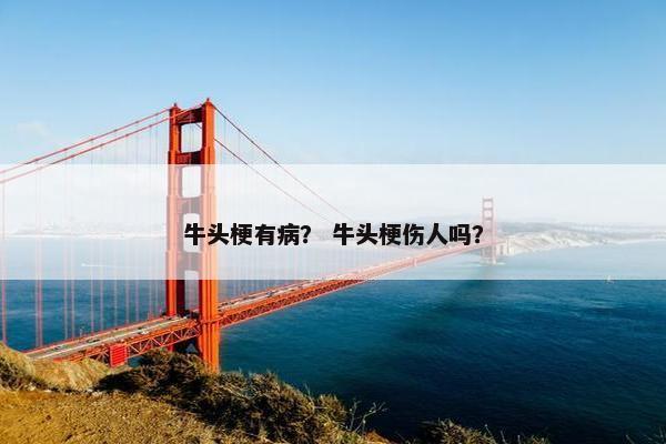 牛头梗有病？ 牛头梗伤人吗？