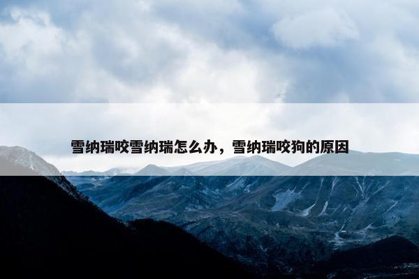 雪纳瑞咬雪纳瑞怎么办，雪纳瑞咬狗的原因