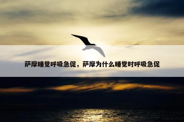 呼吸