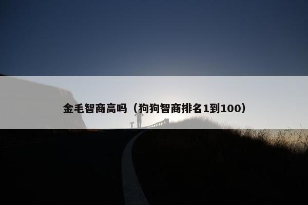 金毛智商高吗（狗狗智商排名1到100）