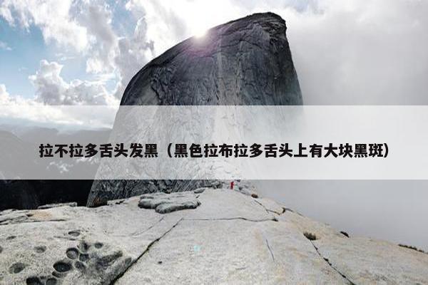 拉不拉多舌头发黑（黑色拉布拉多舌头上有大块黑斑）
