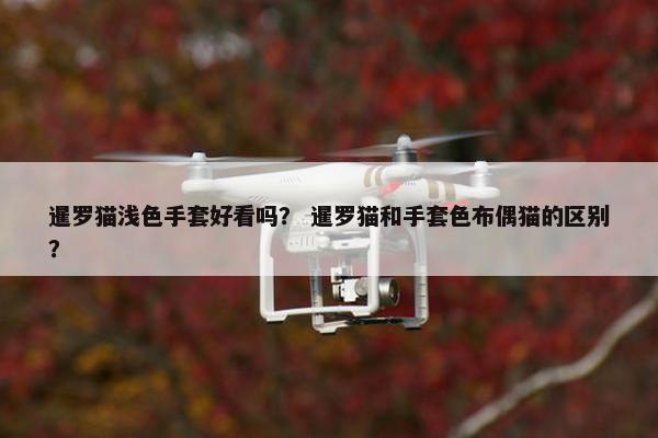 暹罗猫浅色手套好看吗？ 暹罗猫和手套色布偶猫的区别？