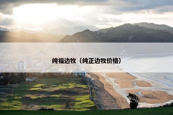 纯福边牧（纯正边牧价格）