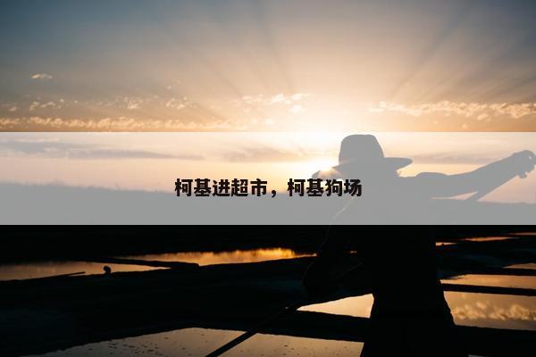 柯基 第5页