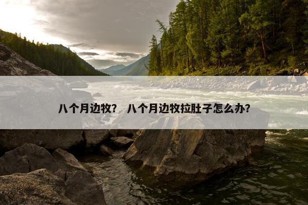 八个月边牧？ 八个月边牧拉肚子怎么办？
