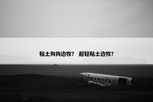 粘土狗狗边牧? 超轻粘土边牧?