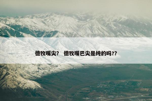 德牧嘴尖？ 德牧嘴巴尖是纯的吗?？