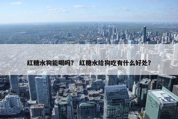 红糖水狗能喝吗？ 红糖水给狗吃有什么好处？