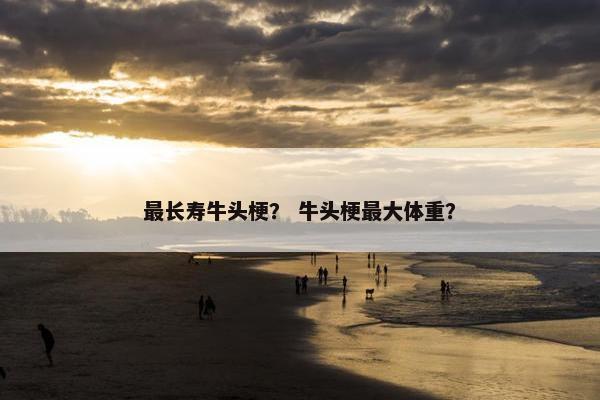 最长寿牛头梗? 牛头梗最大体重?
