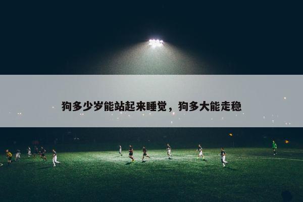 狗多少岁能站起来睡觉，狗多大能走稳