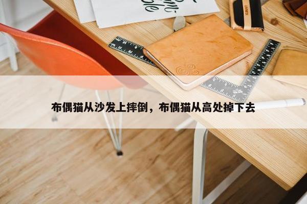 布偶猫从沙发上摔倒，布偶猫从高处掉下去