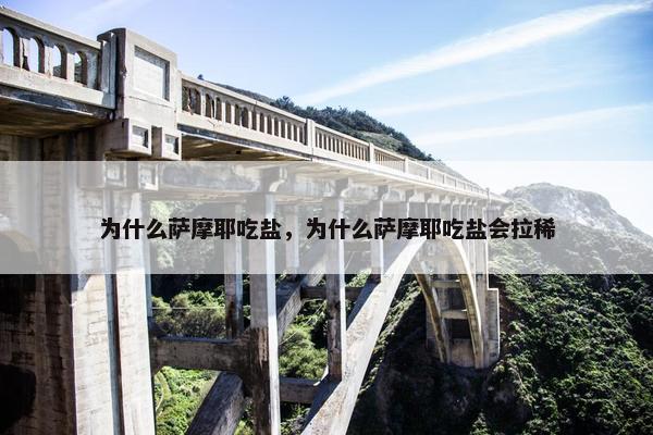 盐分