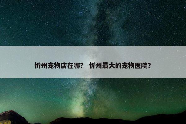 仓鼠