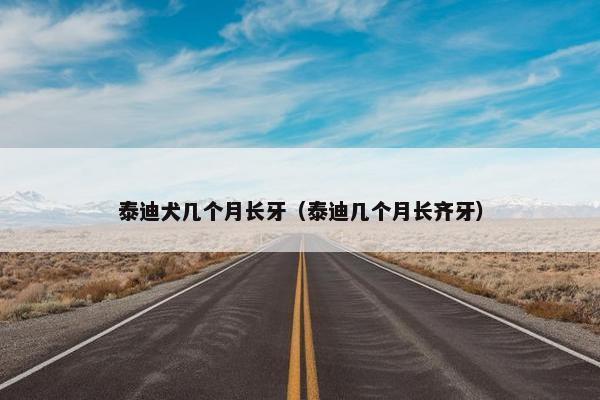 泰迪犬几个月长牙（泰迪几个月长齐牙）