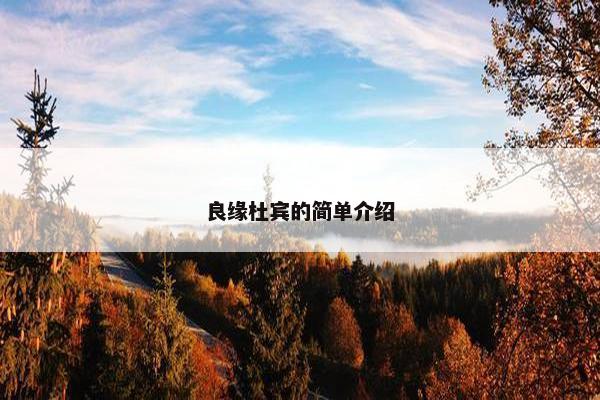 良缘杜宾的简单介绍