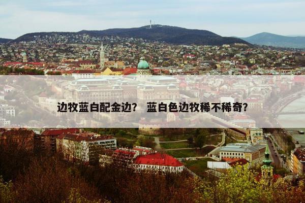边牧蓝白配金边？ 蓝白色边牧稀不稀奇？