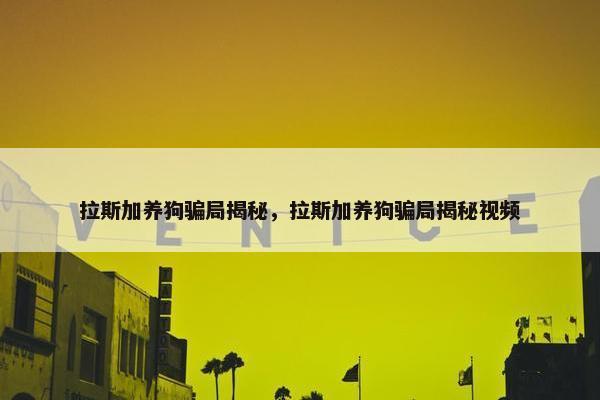 拉斯加养狗骗局揭秘,拉斯加养狗骗局揭秘视频