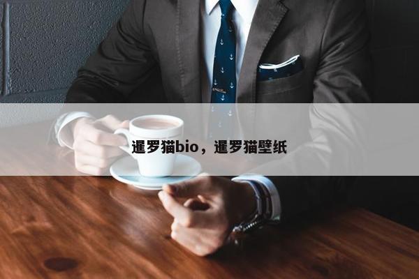 暹罗猫bio，暹罗猫壁纸