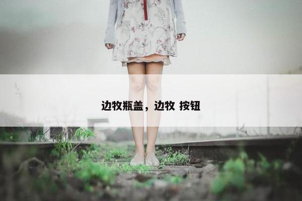 边牧瓶盖，边牧 按钮
