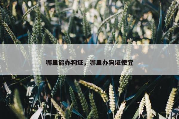 哪里能办狗证，哪里办狗证便宜