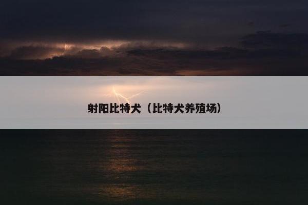射阳比特犬（比特犬养殖场）