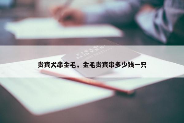 贵宾犬串金毛,金毛贵宾串多少钱一只