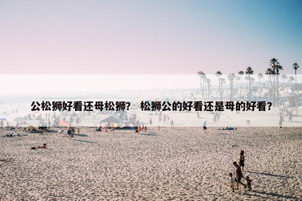 公松狮好看还母松狮？ 松狮公的好看还是母的好看？