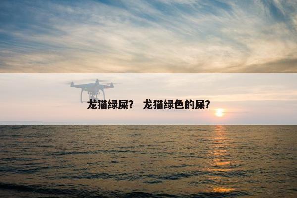龙猫绿屎？ 龙猫绿色的屎？