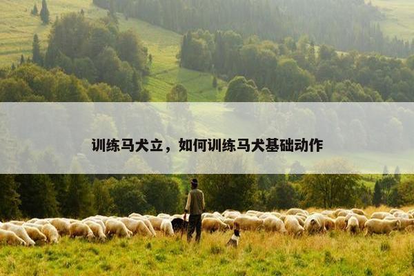 坐下