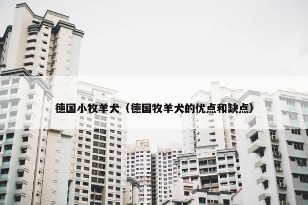 德国小牧羊犬(德国牧羊犬的优点和缺点)