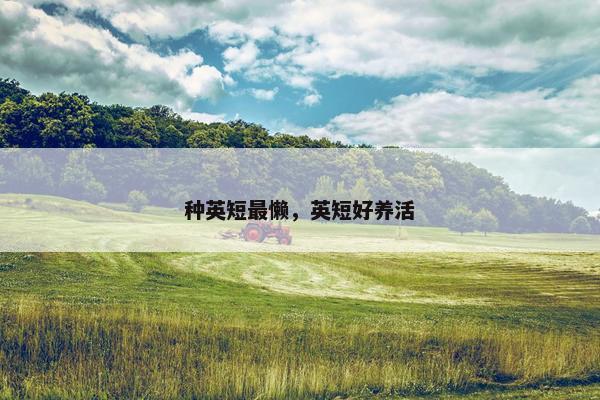 种英短最懒，英短好养活