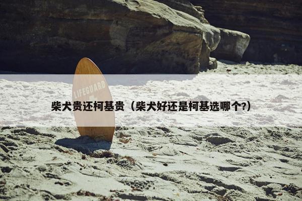 柴犬贵还柯基贵（柴犬好还是柯基选哪个?）
