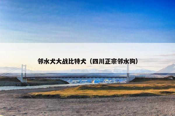 邻水犬大战比特犬(四川正宗邻水狗)