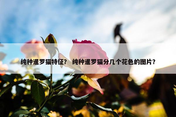 细长