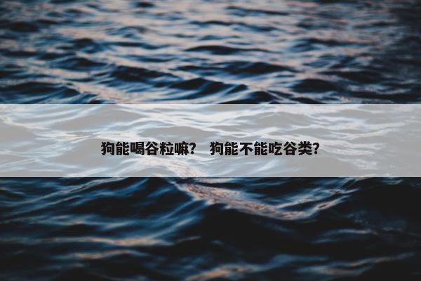 狗能喝谷粒嘛？ 狗能不能吃谷类？