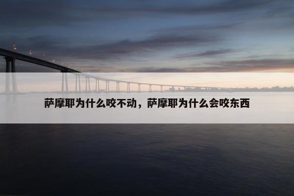 萨摩耶为什么咬不动，萨摩耶为什么会咬东西