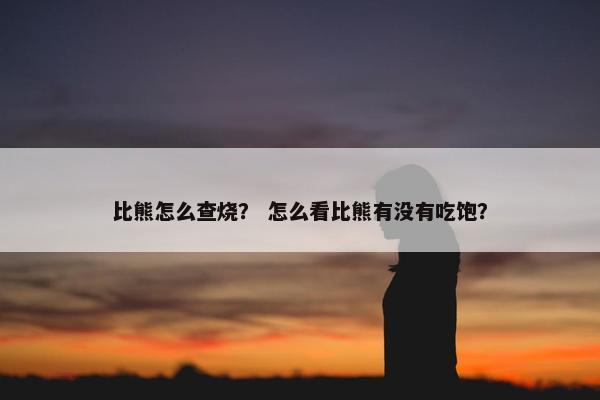 比熊怎么查烧？ 怎么看比熊有没有吃饱？