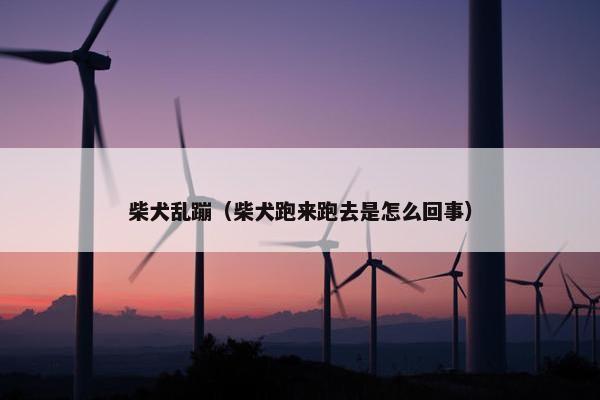 柴犬乱蹦（柴犬跑来跑去是怎么回事）