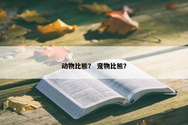 动物比熊? 宠物比熊?