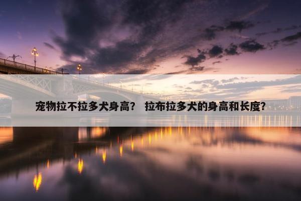宠物拉不拉多犬身高？ 拉布拉多犬的身高和长度？